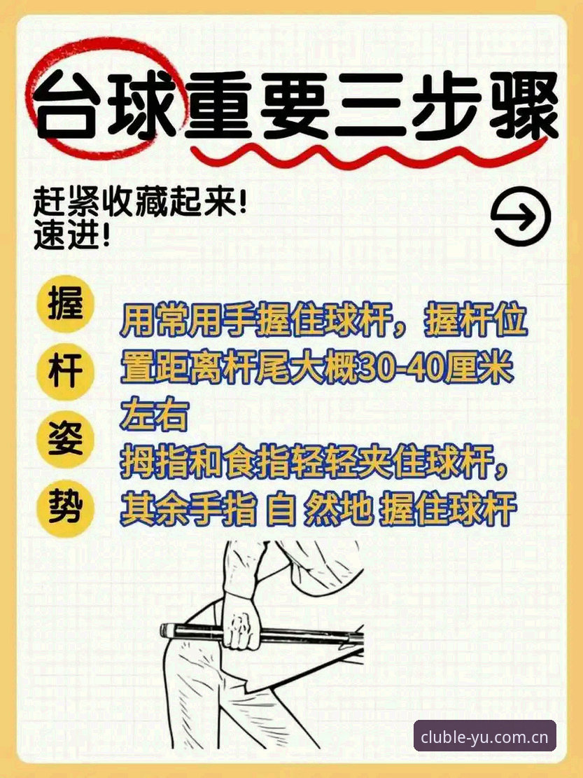 乐鱼体育平台实用指南：从入门到精通的全流程体验分享